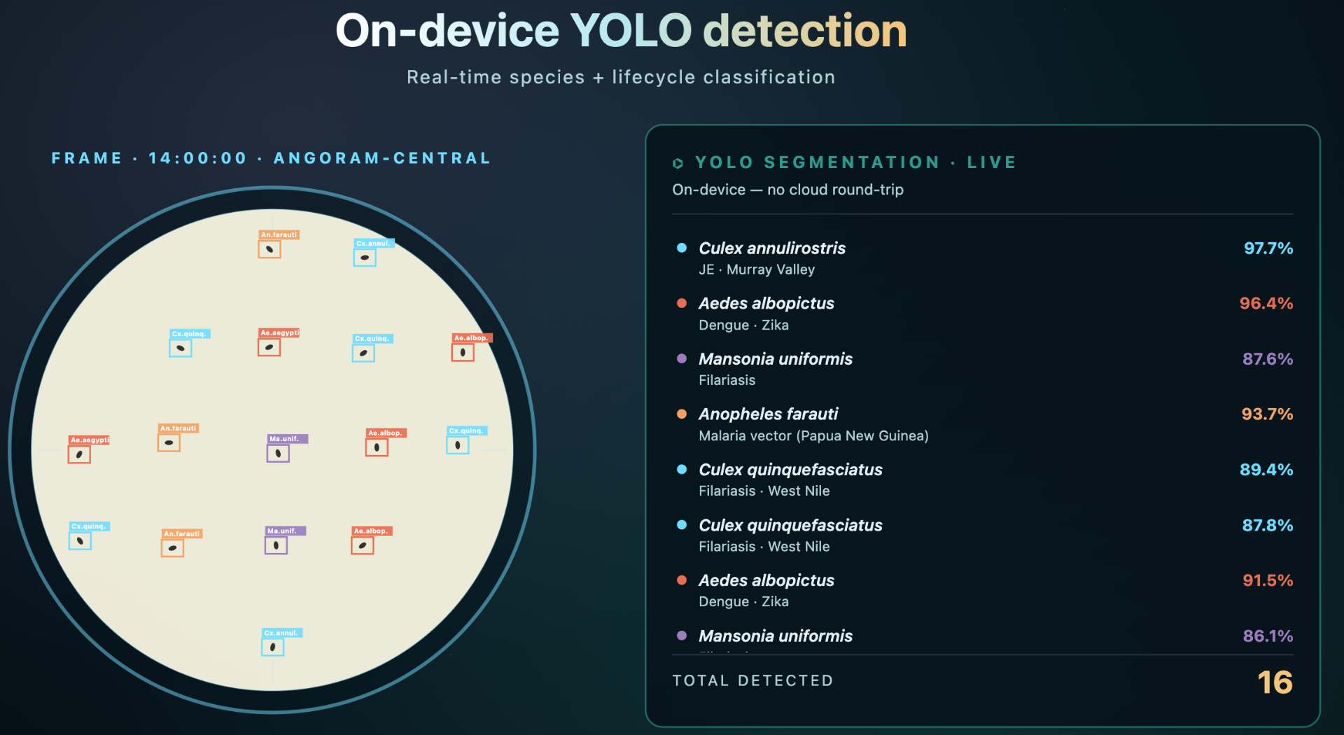NeoTrap Vector Intelligence interface showing on-device YOLO detection with real-time species classification